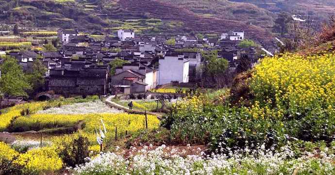 江西省上饶市婺源县曹家坦