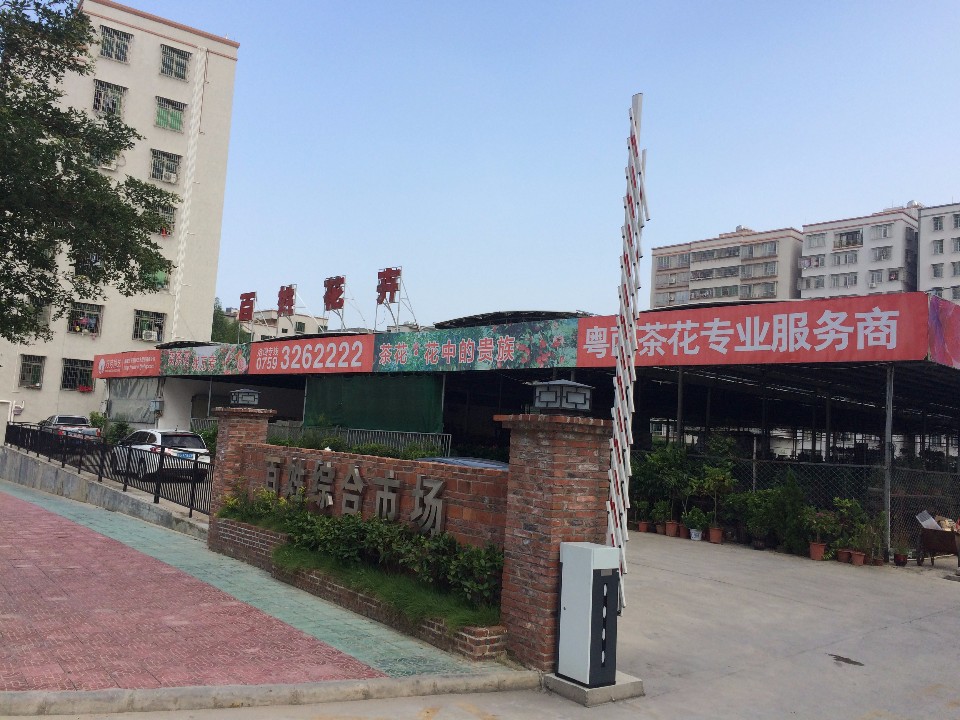 百姓花卉市场