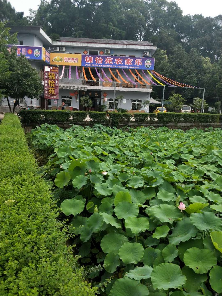 资阳市乐至县劳动镇旧居村十组