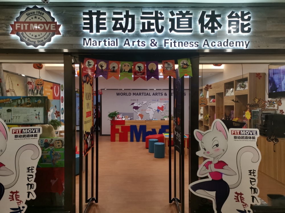 菲动武道体能(善国乱心)