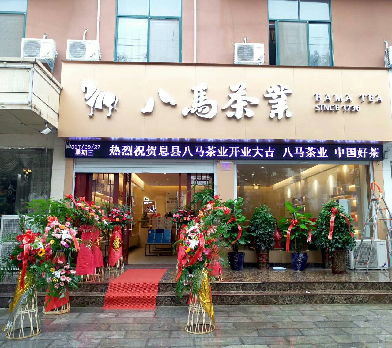 息县八马茶业(息夫人大道店)