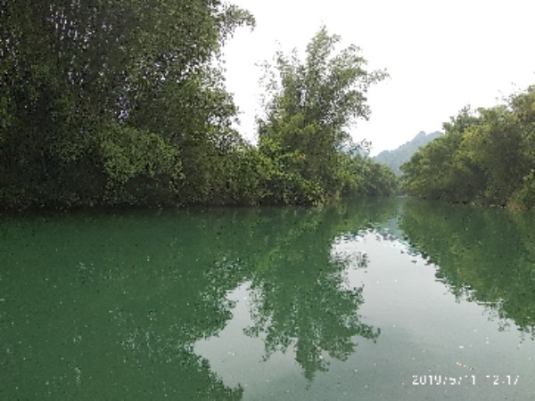 广西壮族自治区柳州市鹿寨县中渡镇中度古镇大庙附近(中渡小学北)