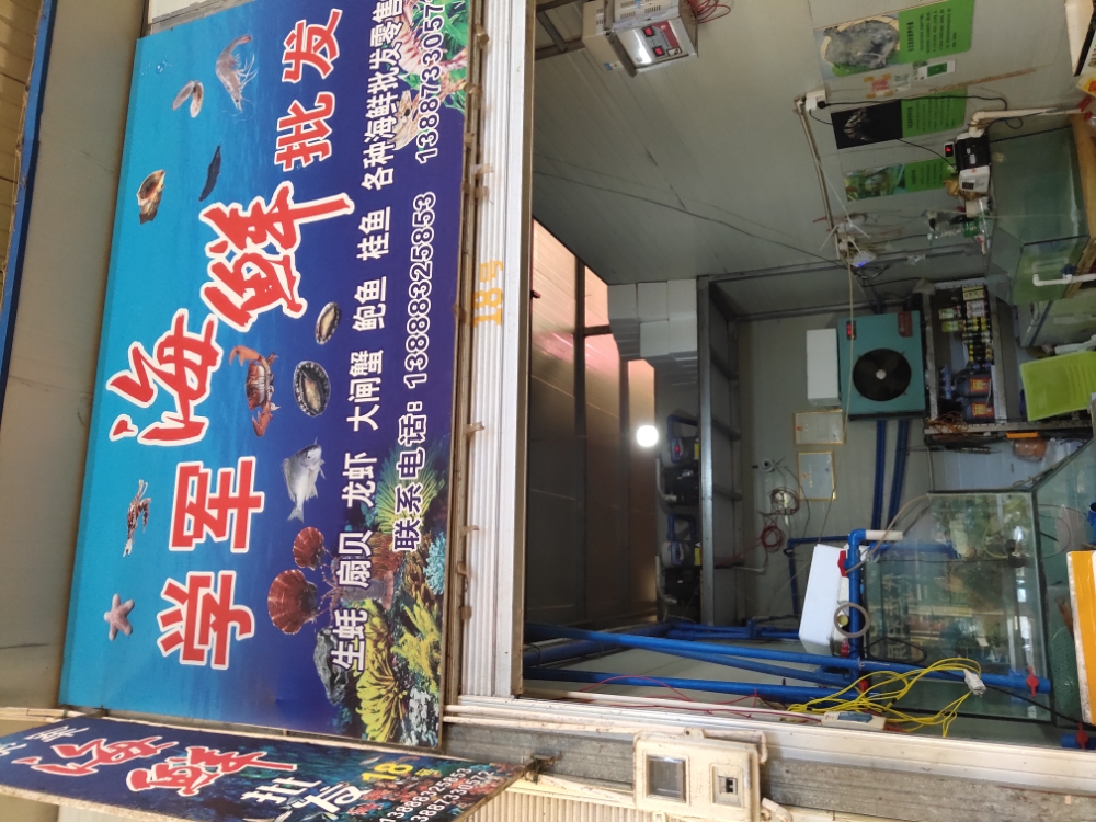 石屏学军海先