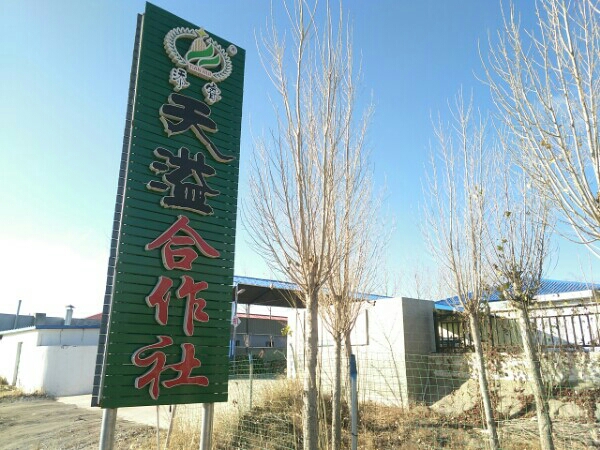 内蒙古自治区赤峰市阿鲁科尔沁旗鲁宝线