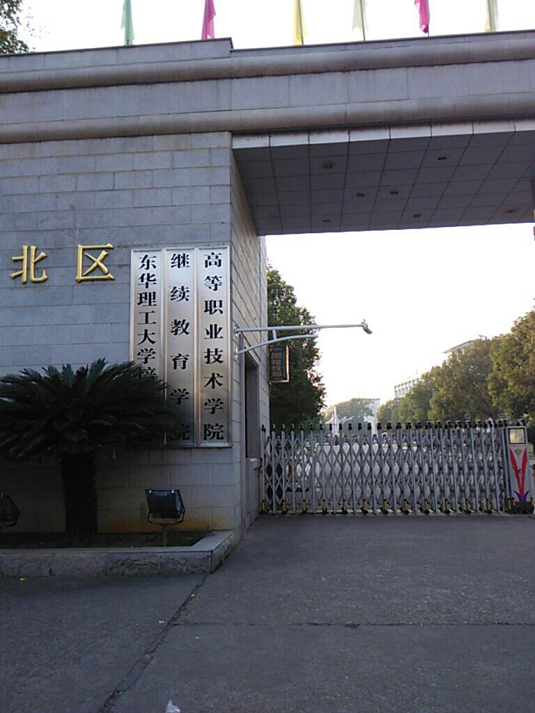 高等职业技术学学院