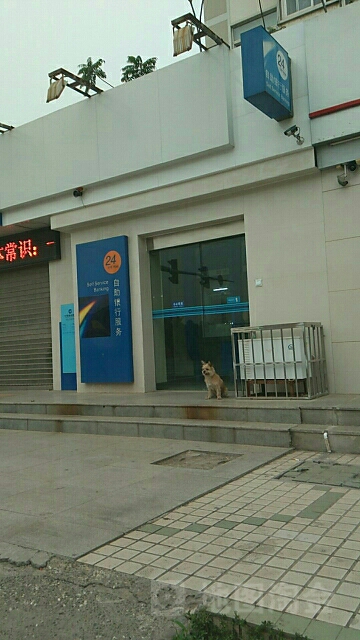 中国建设银行24小时自助银行(安阳安泰苑支行)