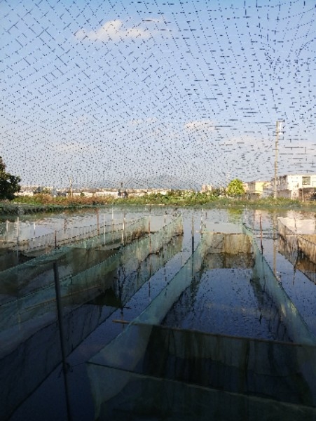 广东省揭阳市普宁市泥沟村