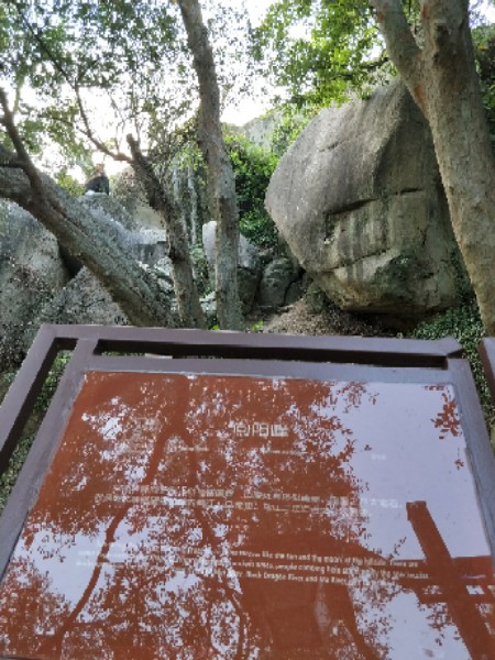 向阳峰