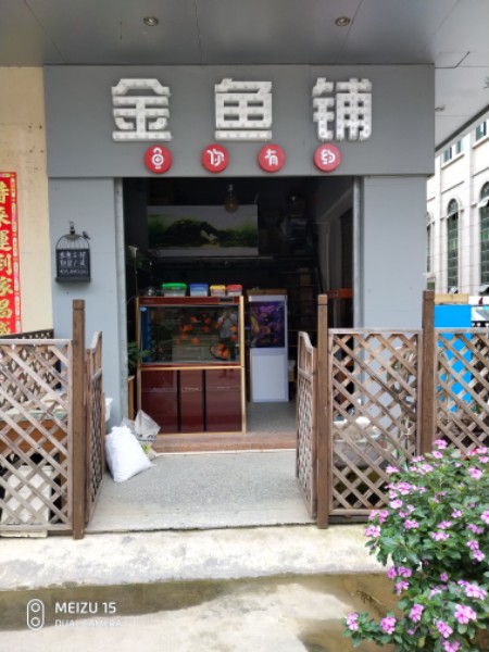 金鱼铺水族店
