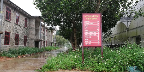 东兴市不老峰铁皮石斛产业示范区