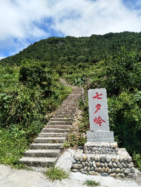 丽水市青田县