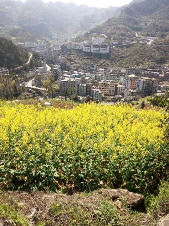 宜宾市珙县底周路