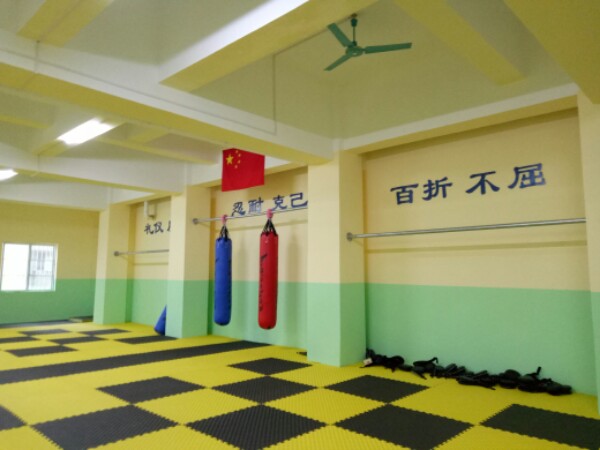 天幕跆拳道馆