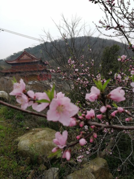 舟山市岱山县真修禅寺