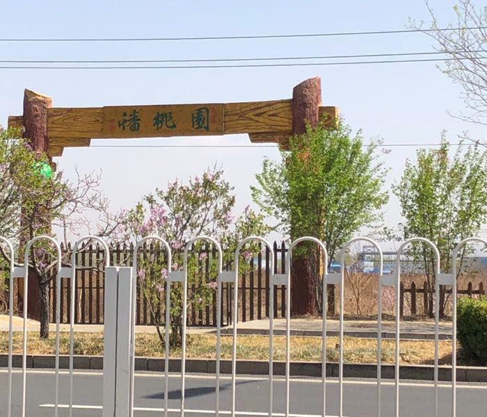 蟠桃园