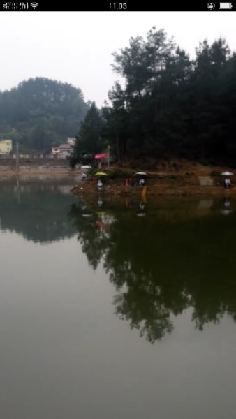 石板桥生态垂钓园