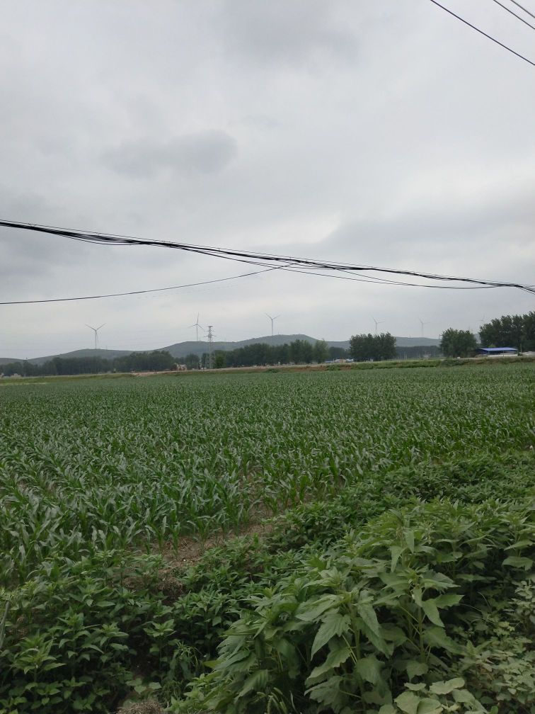 宿州市埇桥区零三八县道