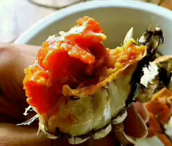 阳澄湖大闸蟹(金和店)