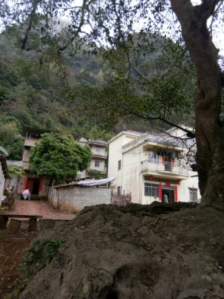东莞职业技术学院卫生健康学院