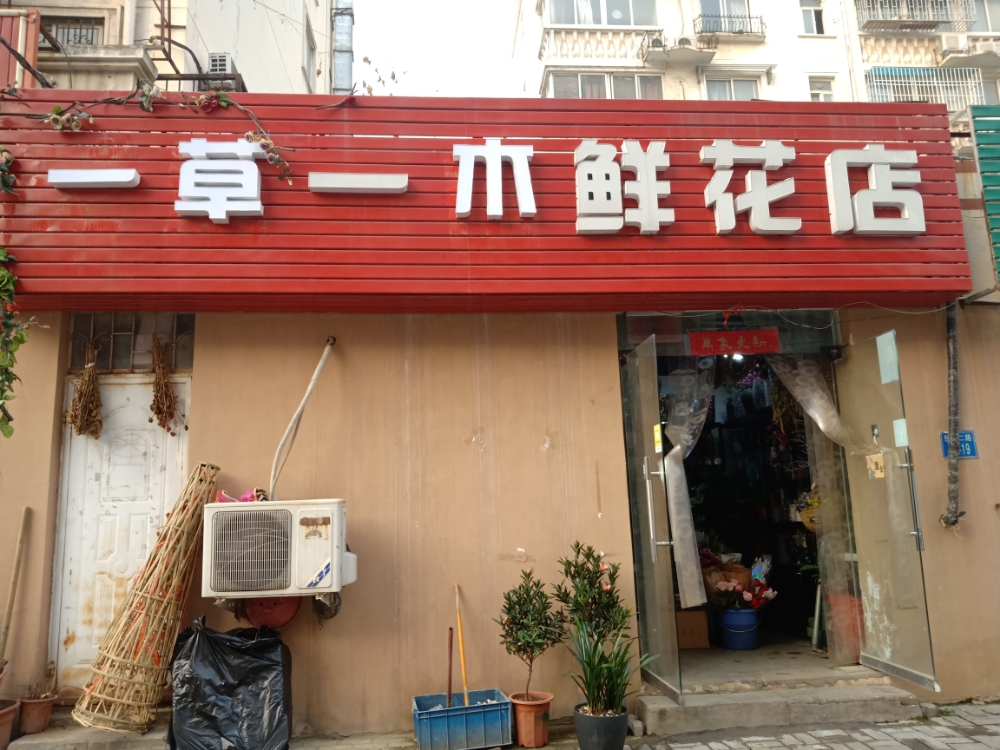 郑州经济技术开发区九龙镇一草一木鲜花店