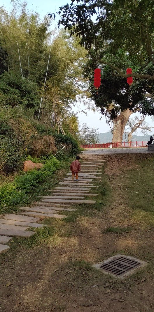 广东省云浮市郁南县