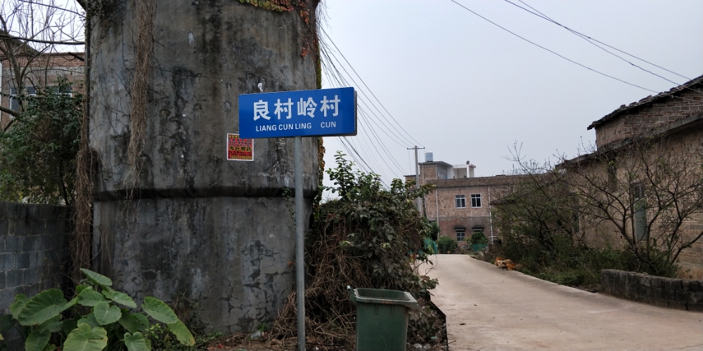 广西壮族自治区玉林市玉州区