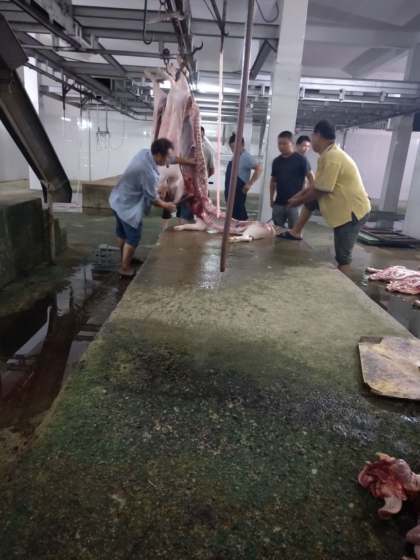 靖安屠宰场                     地址:江西省宜春市靖安县