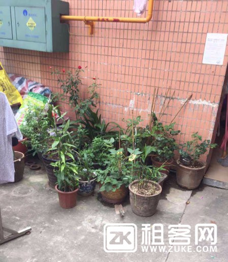 西丽书店综合楼