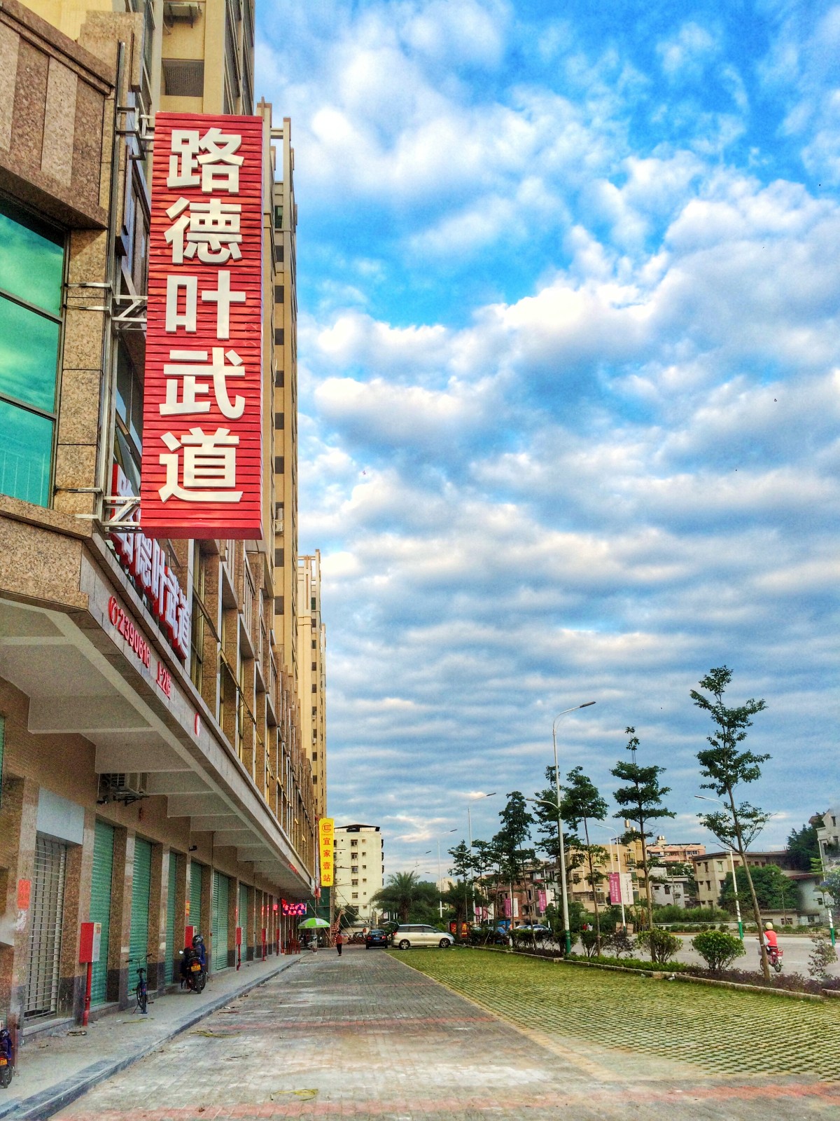 路德叶聘武道(教育嘉大学府馆)