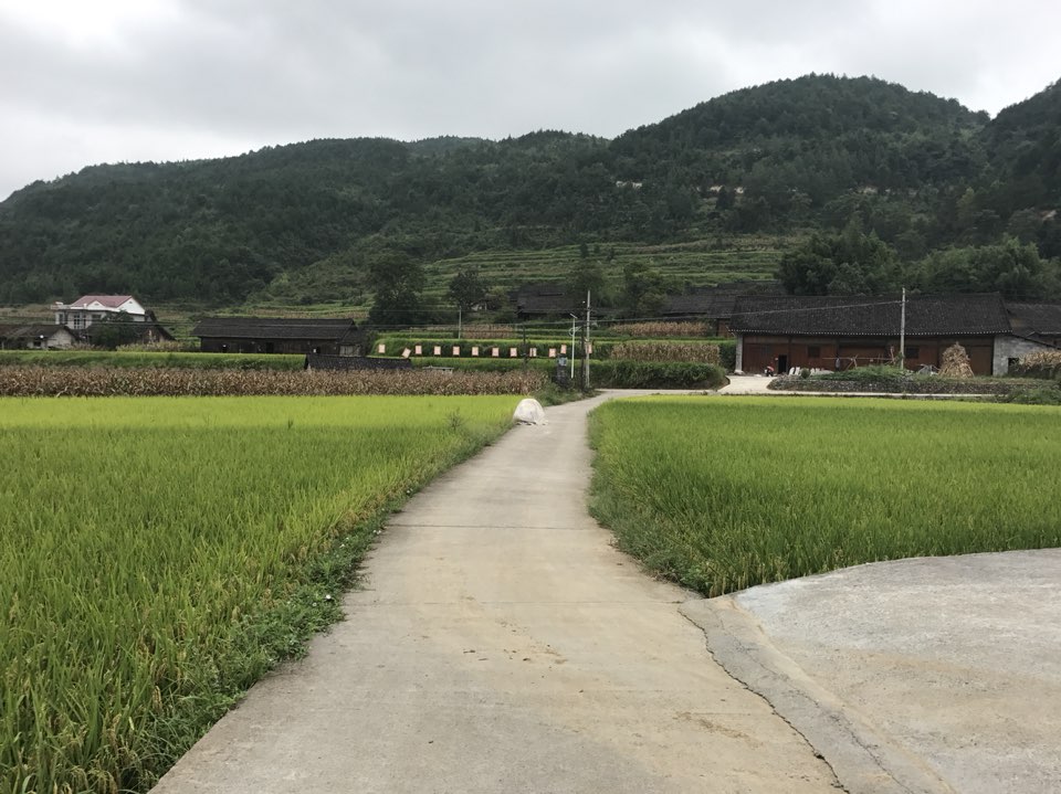 湘西土家族苗族自治州花垣县