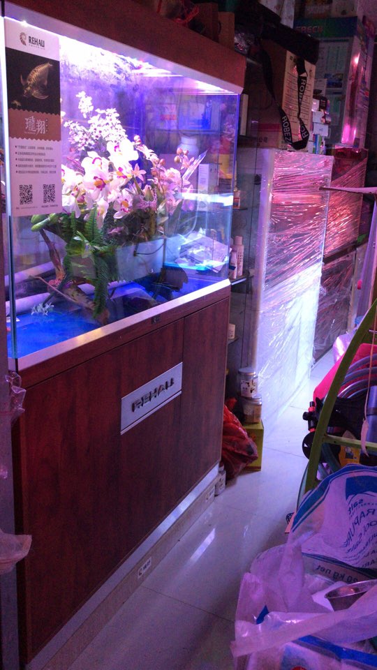 南京市海燕水族馆(上元路店)