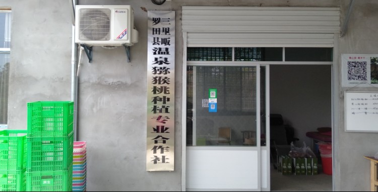 罗田县三里畈温泉猕猴桃种植专业合作社