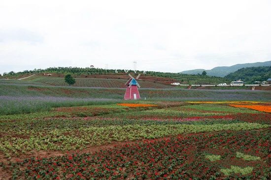 万山区铜仁市