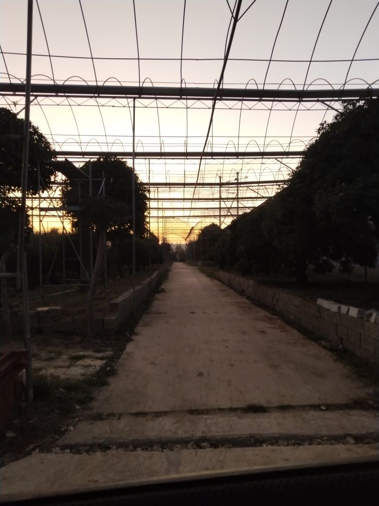 天景桂花园