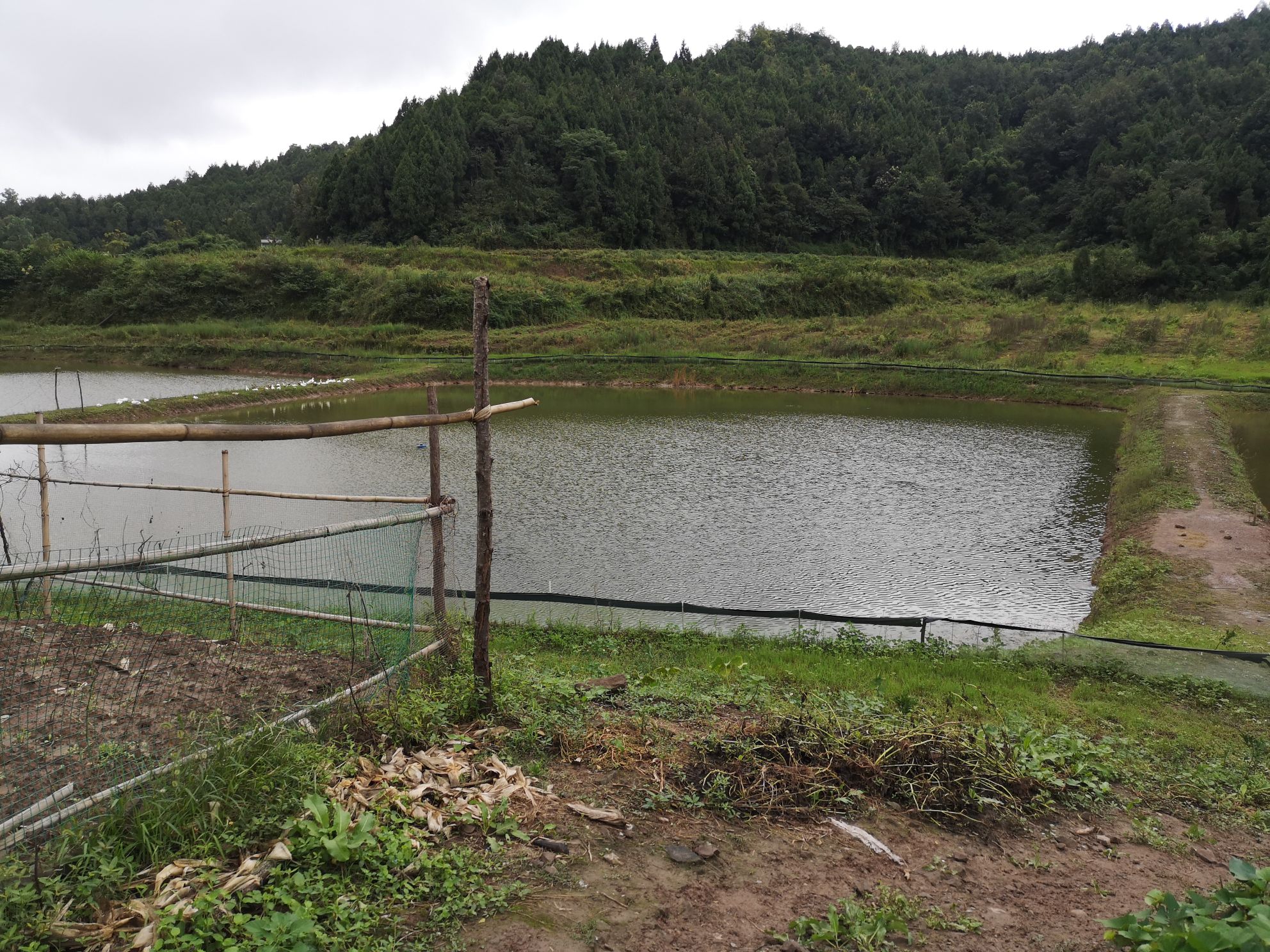 四川省南充市西充县