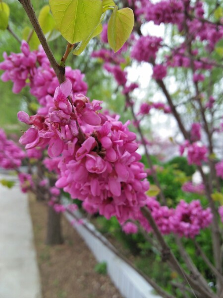 漯河市舞阳县钟庄村附近