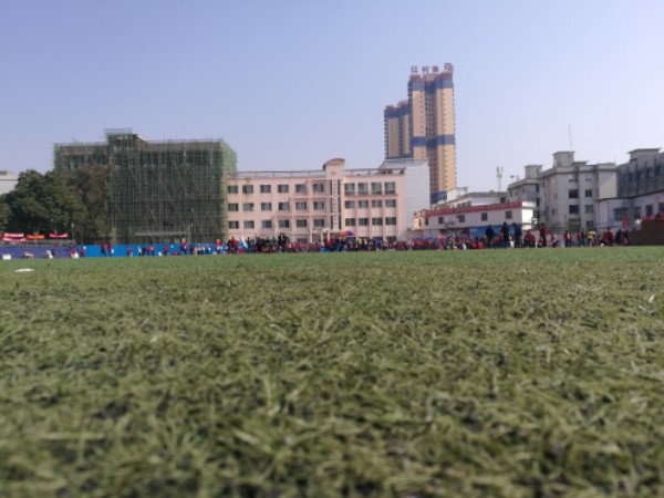 田东高级中学