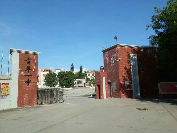 广东省湛江市廉江市青平镇青平介绍 周边农林园艺 廉江市青平镇展宏