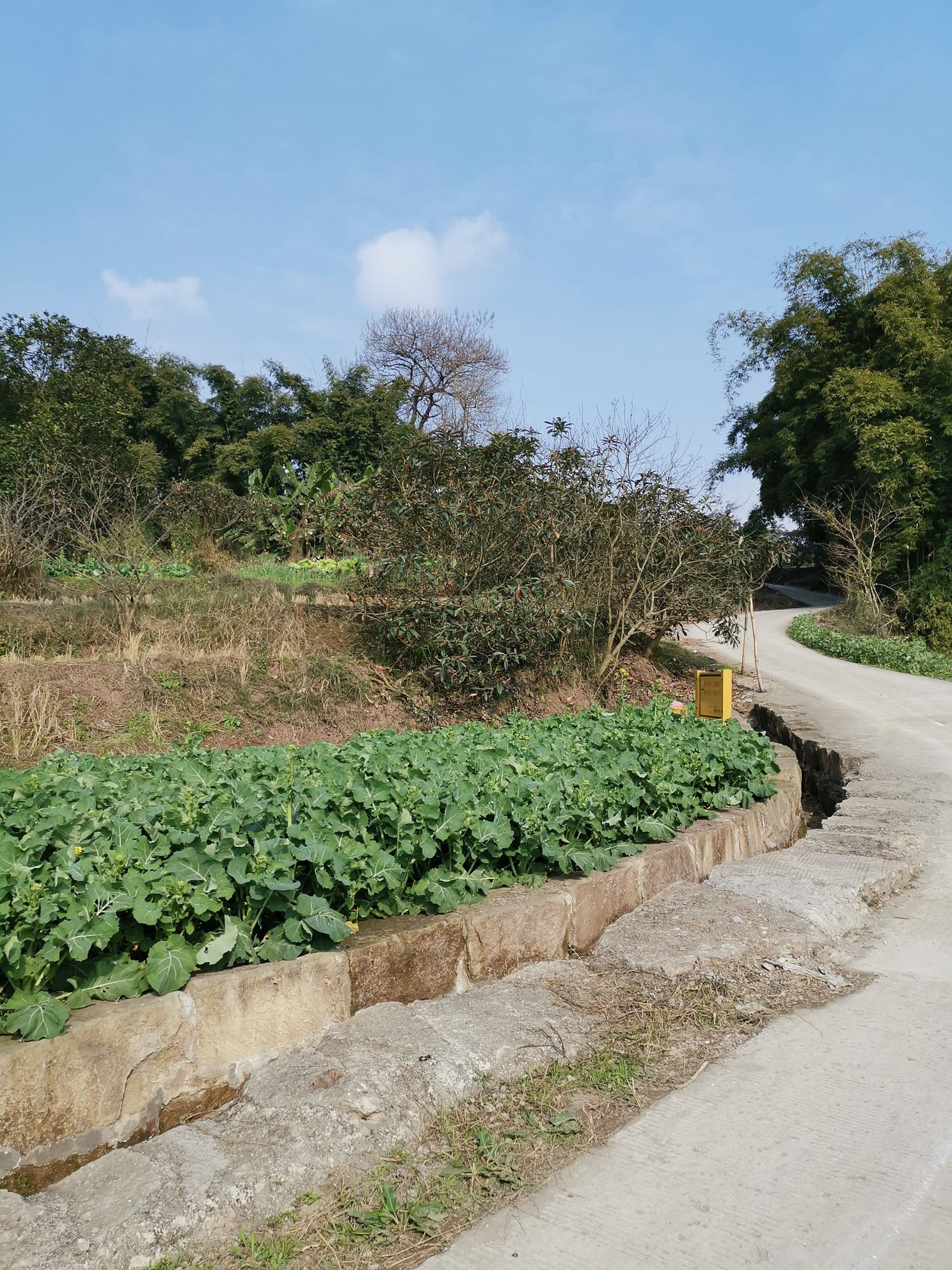 四川省内江市威远县