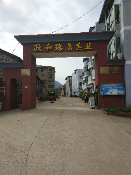 福建政和瑞茗茶业有限公司