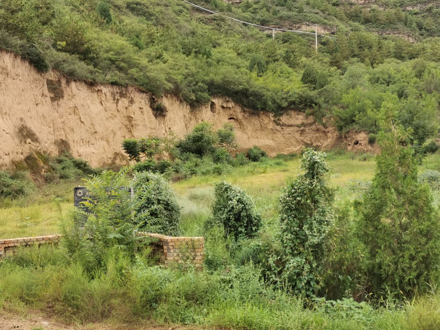 陕西黄河壶口瀑布风景名胜-龙王辿