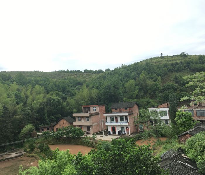 湖南省衡阳市常宁市柏坊镇堤上村樟皮组