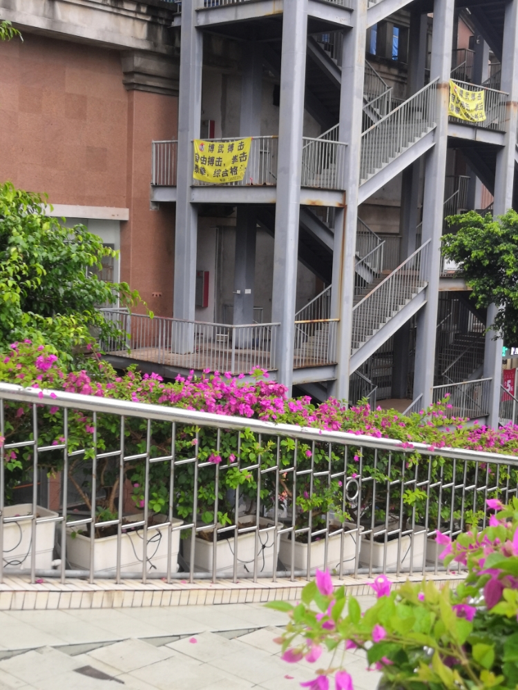 博武搏击(凤凰北路店)