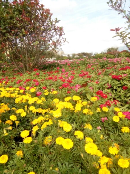 川里村