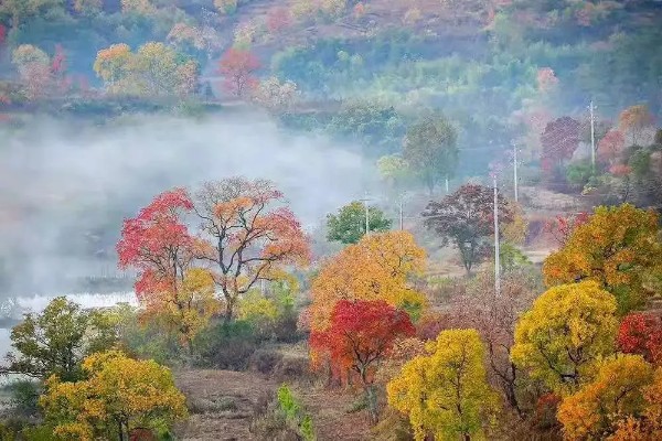 老山红叶观光园