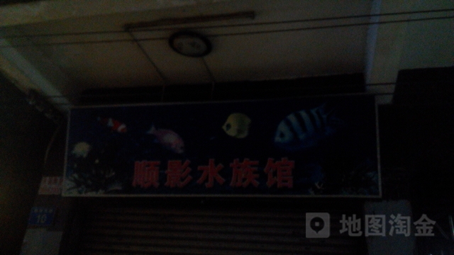 顺影水族馆