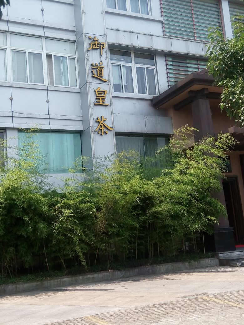御道黄茶(九龙店)