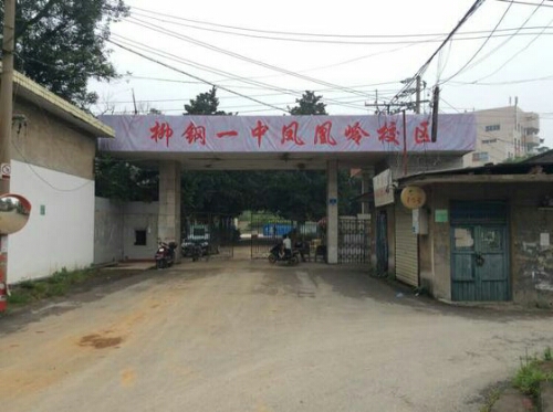 柳州钢一中学(凤凰岭校区)