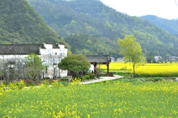 池州市石台县