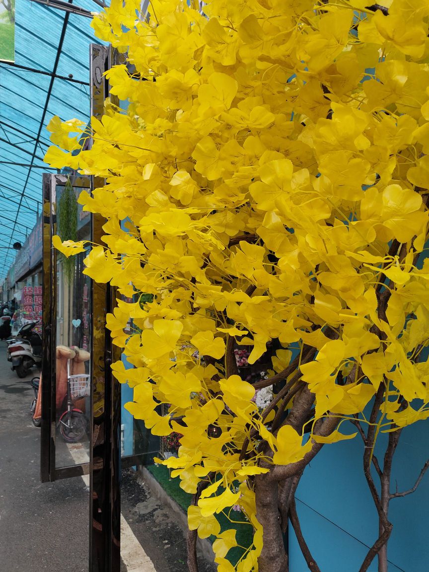 南阳市溧河物流园花鸟市场